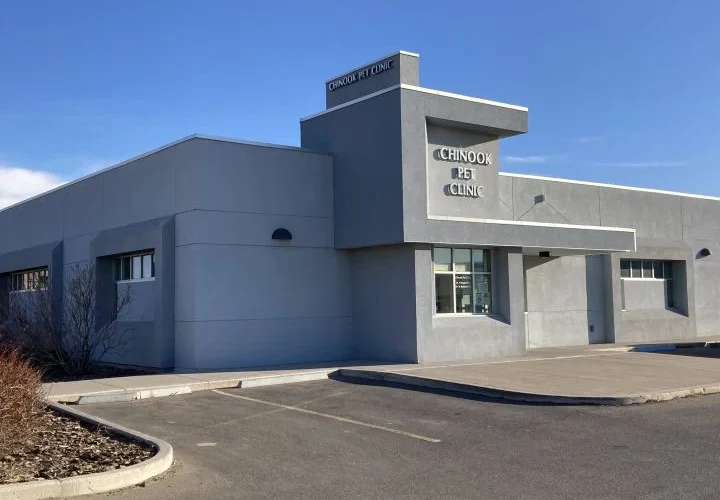 Chinook Pet Clinic