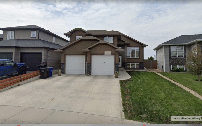 City Mobile Veterinary Services