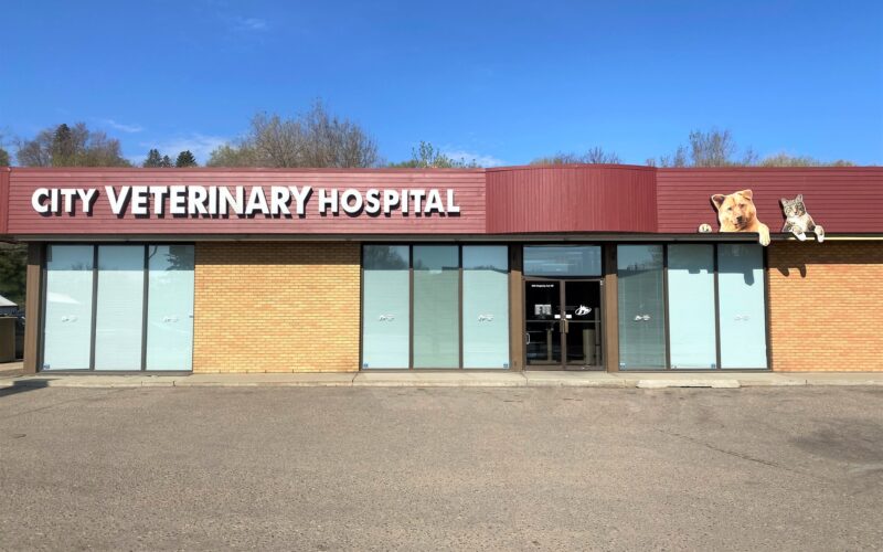 City Veterinary Hospital