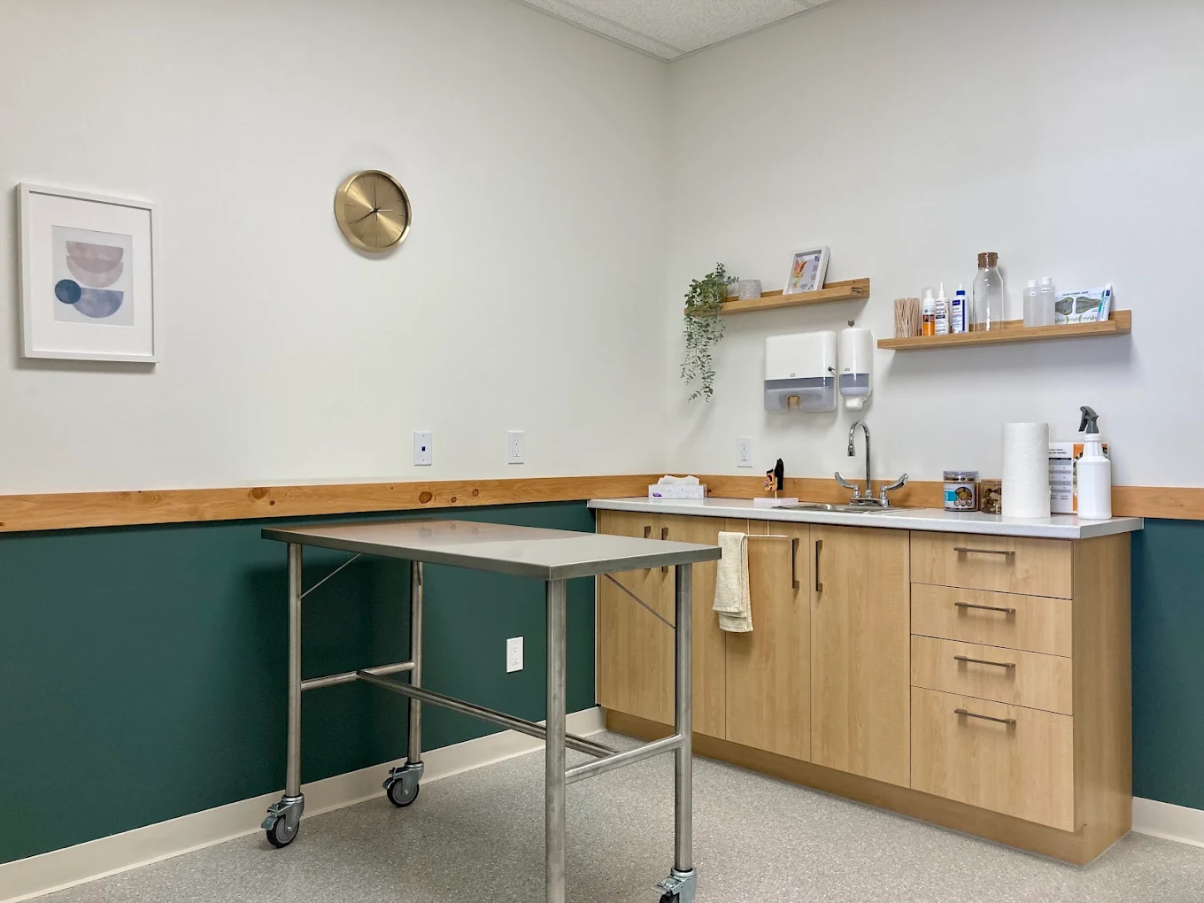 Clinique vétérinaire du Havre