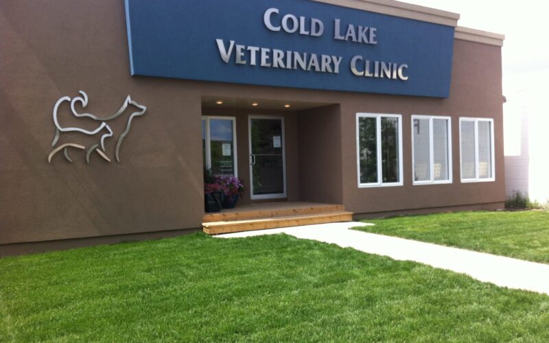 Cold Lake Veterinary Clinic