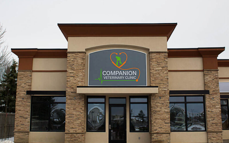 Companion Veterinary Clinic