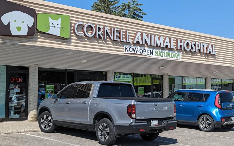 Cornell Animal Hospital