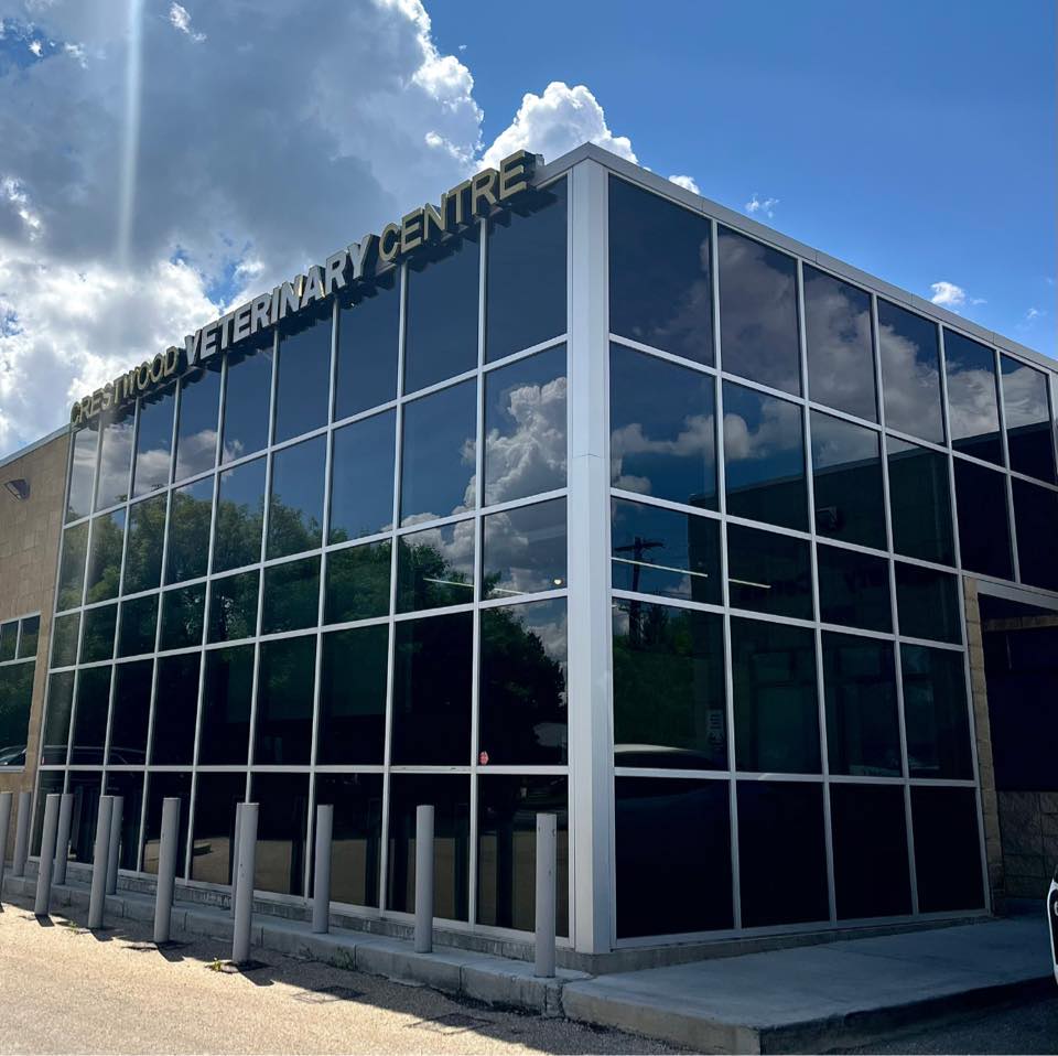 Crestwood Veterinary Centre