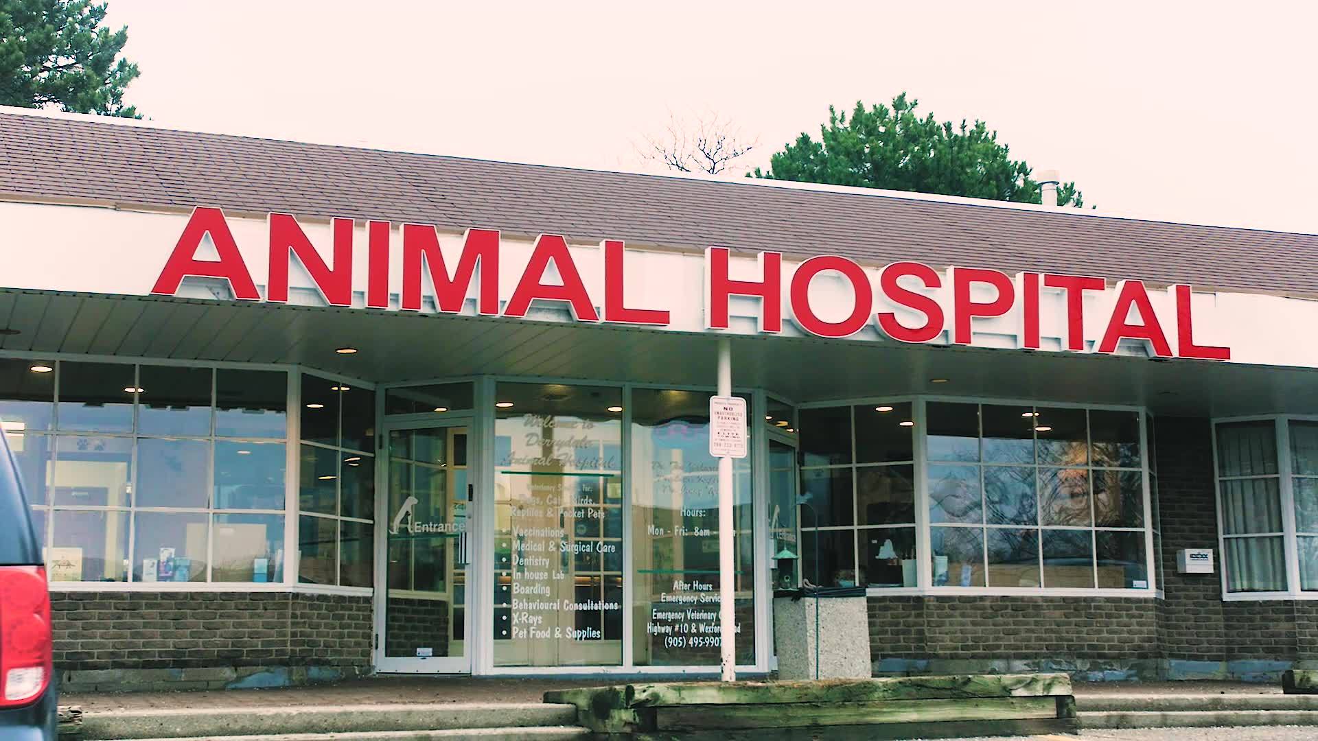 Derrydale Animal Hospital