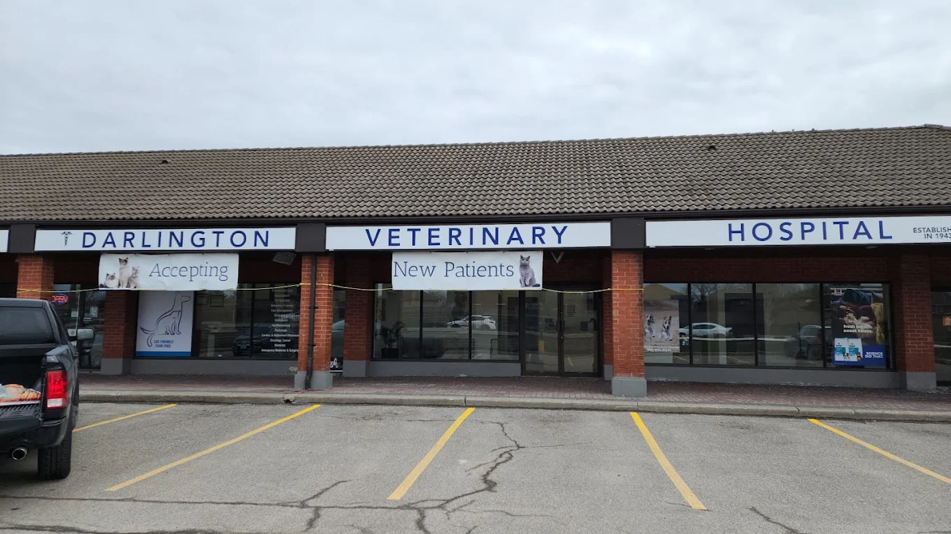 Darlington Veterinary Hospital