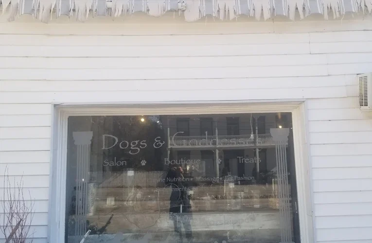 Dogs & Goddesses Inc.