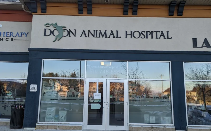 Doon Animal Hospital