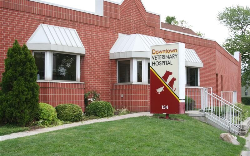 Downtown Veterinary Hospital