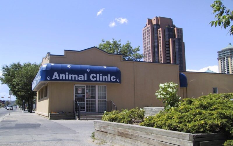Downtown Animal Clinic