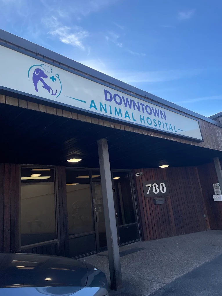 Downtown Animal Hospital