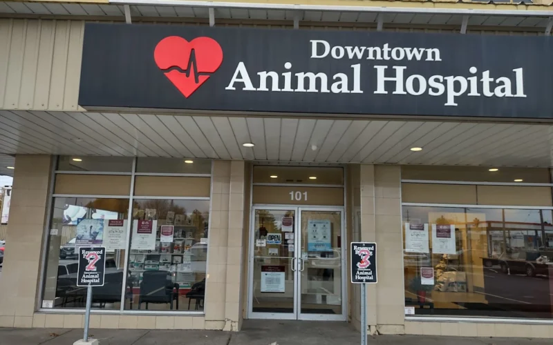 Downtown Animal Hospital