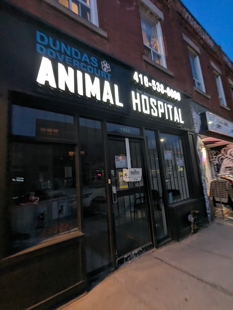 Dundas Dovercourt Animal Hospital
