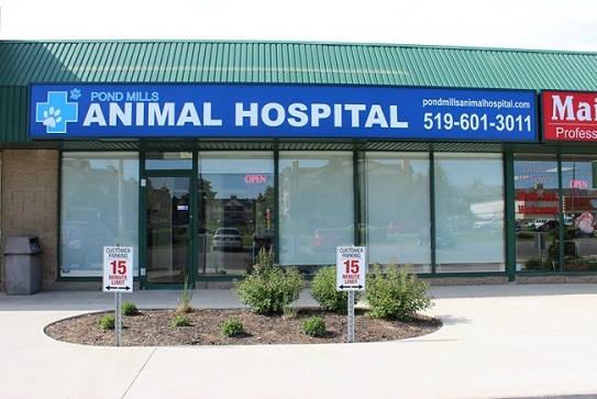 Pond Mills Animal Hospital