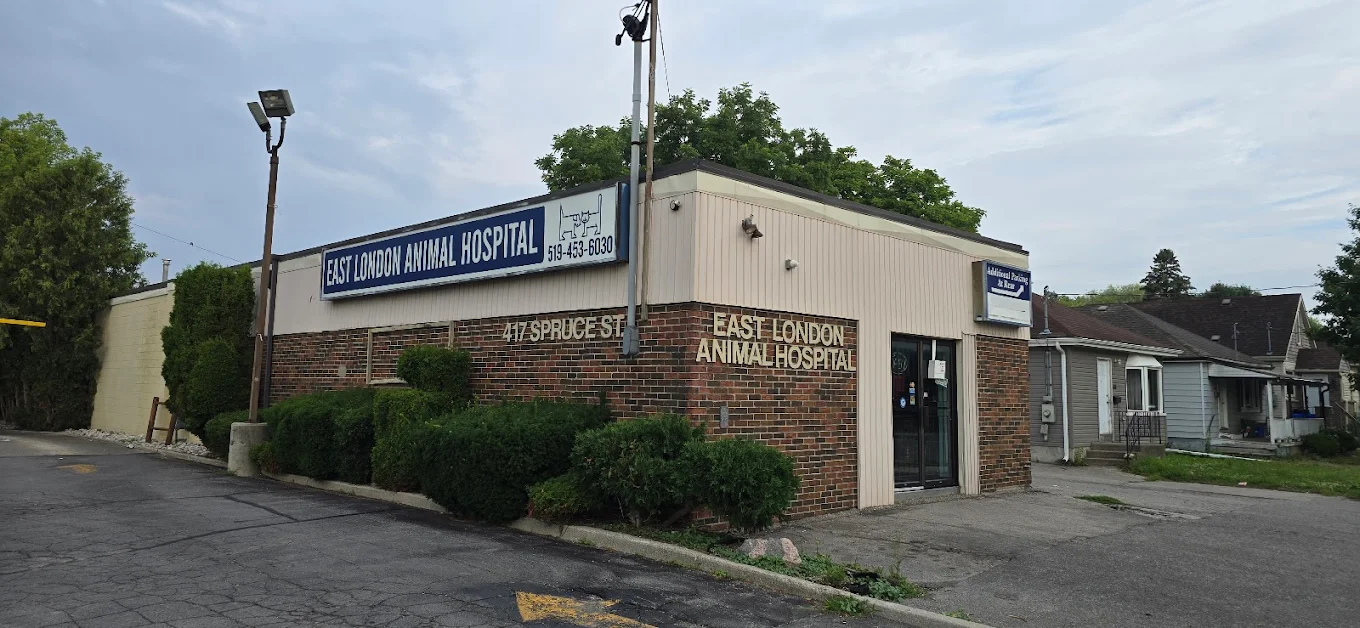 East London Animal Hospital