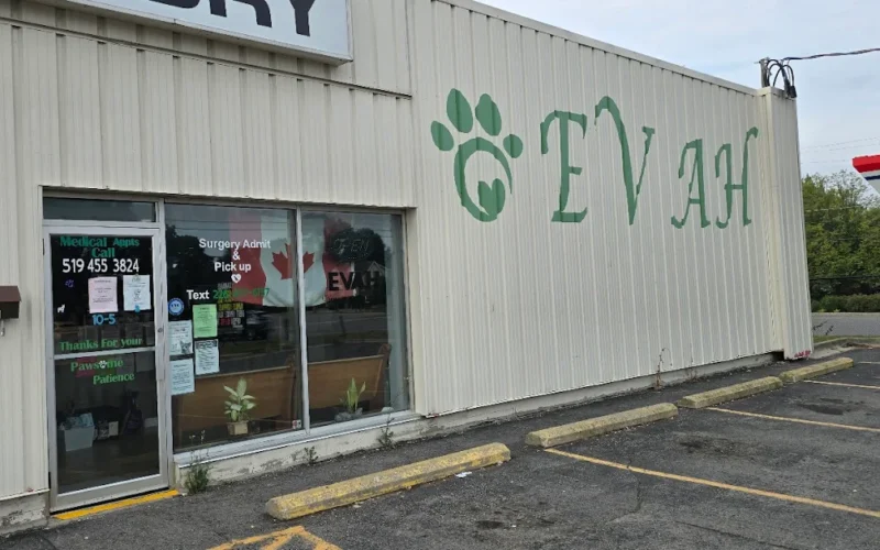 East Village Animal Hospital