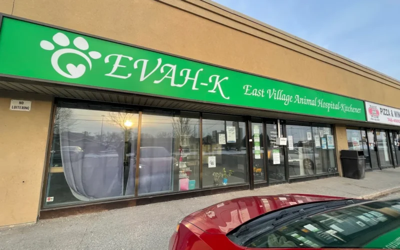 East Village Animal Hospital-Kitchener