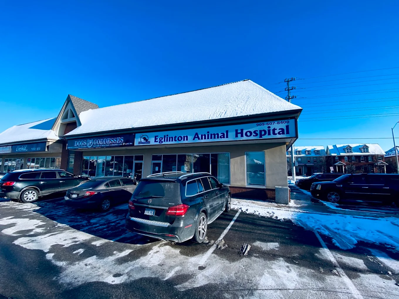 Eglinton Animal Hospital