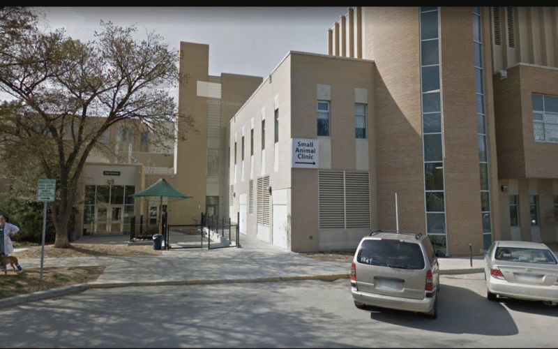 Companion Animal Health Fund