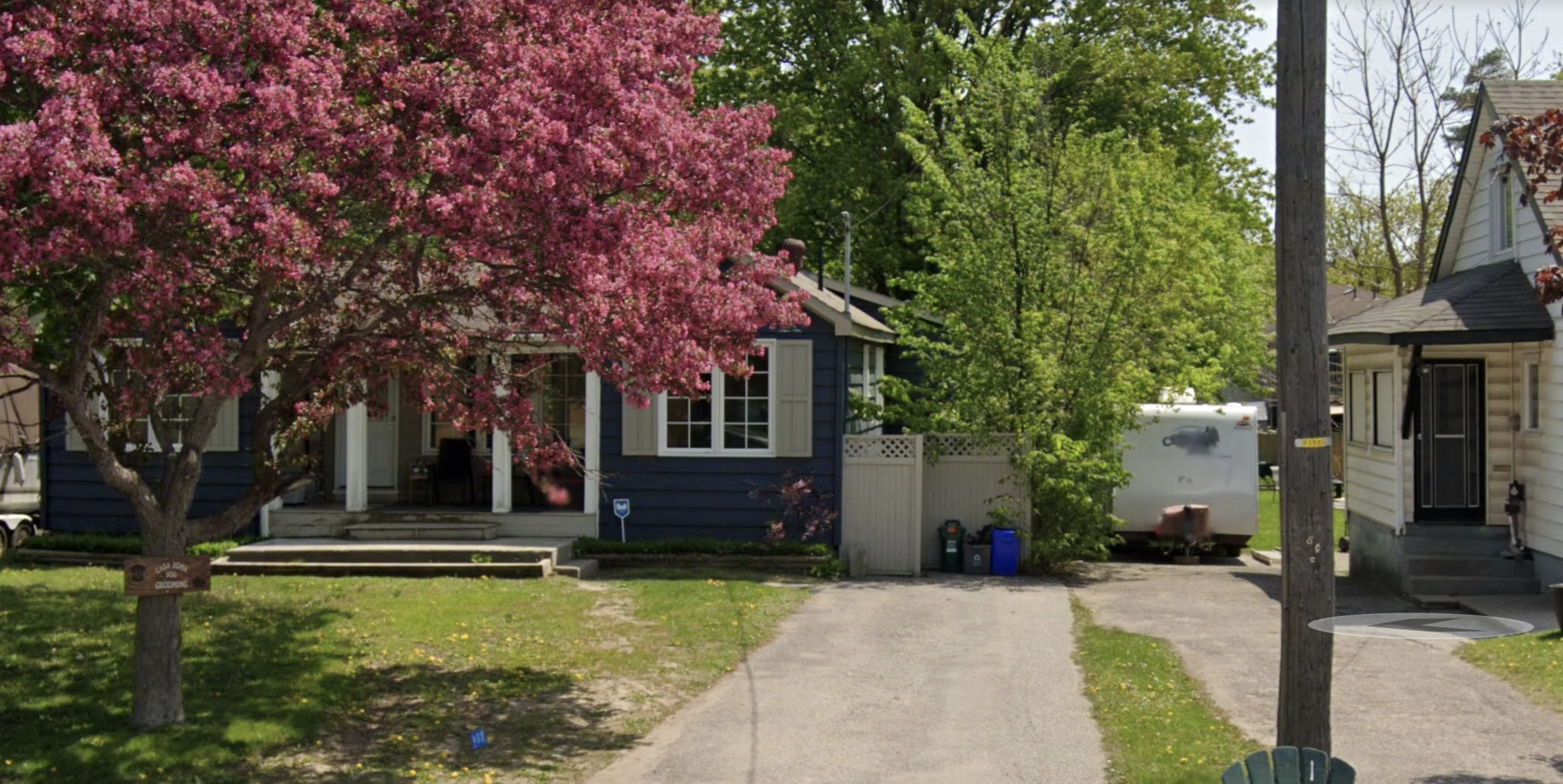 Casa Doma Dog Grooming