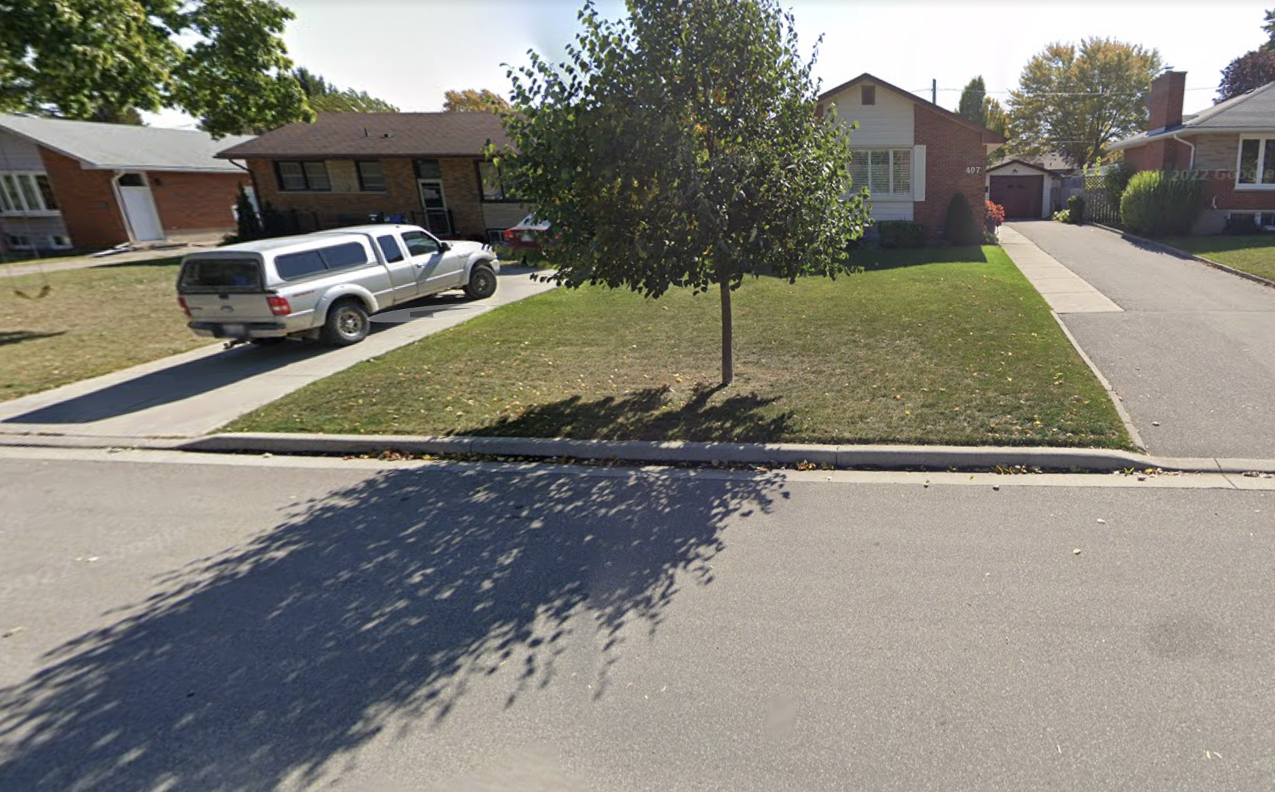 Paws With Wings - London