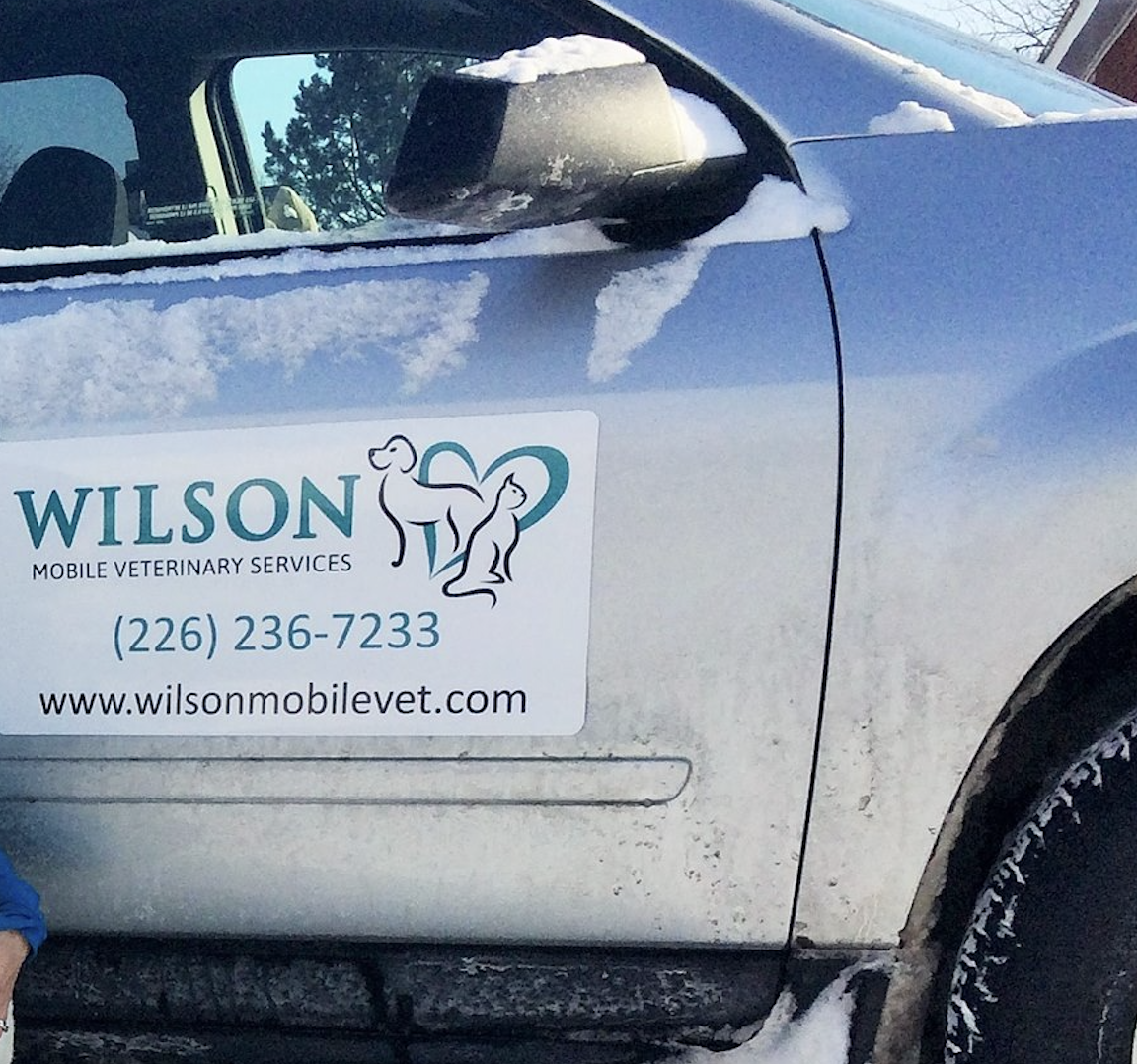Wilson Mobile Veterinary Services