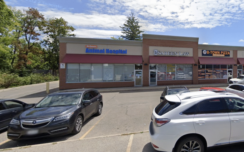 McQueen Animal Hospital