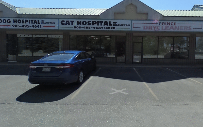 The Cat Hospital Of Brampton