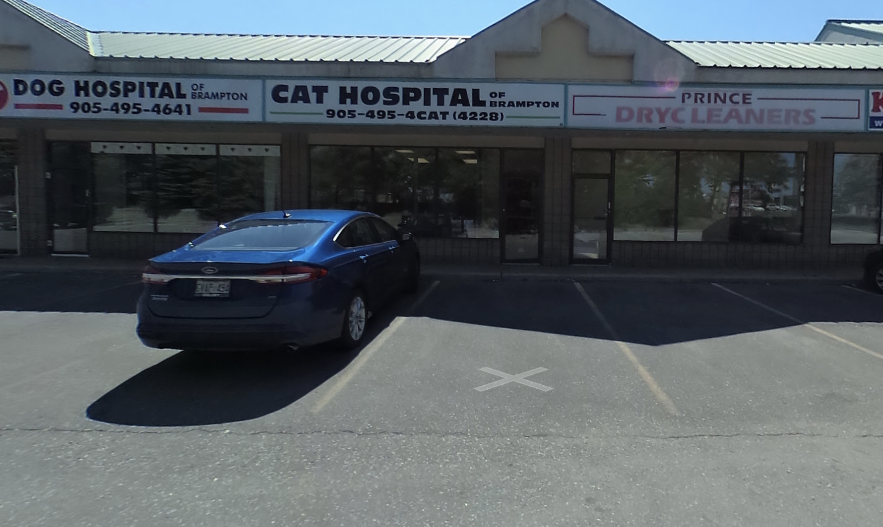 The Cat Hospital Of Brampton