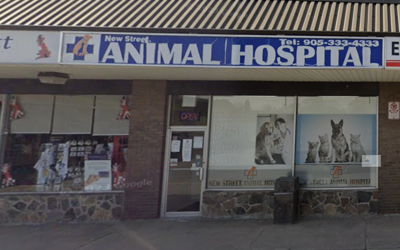 New Street Animal Hospital