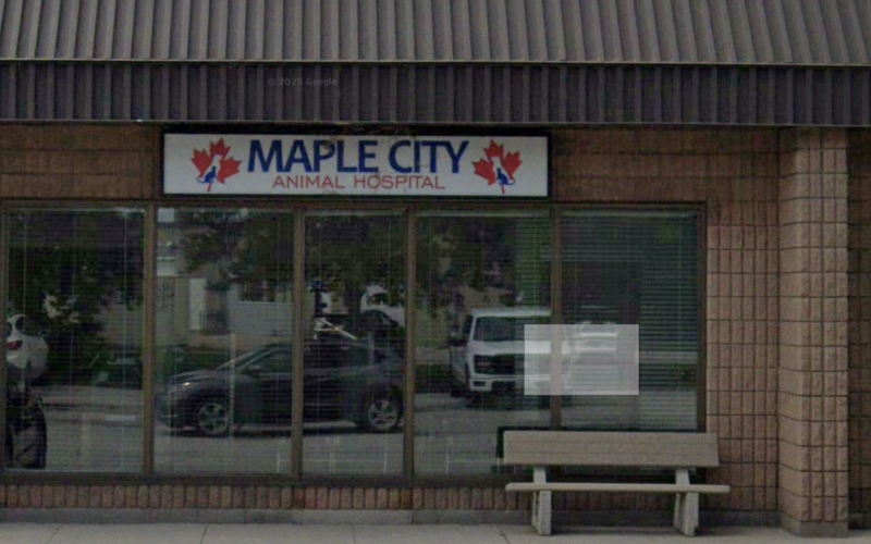 Maple City Animal Hospital