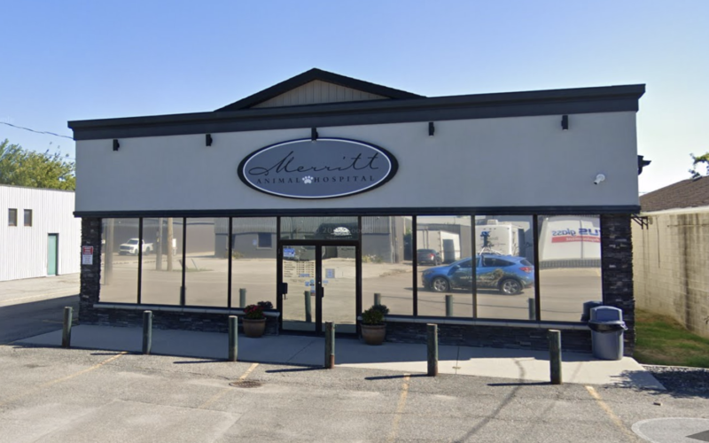DMS Veterinary Group