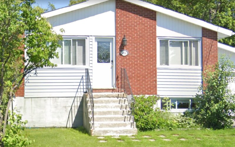 C&C Canine Social Club