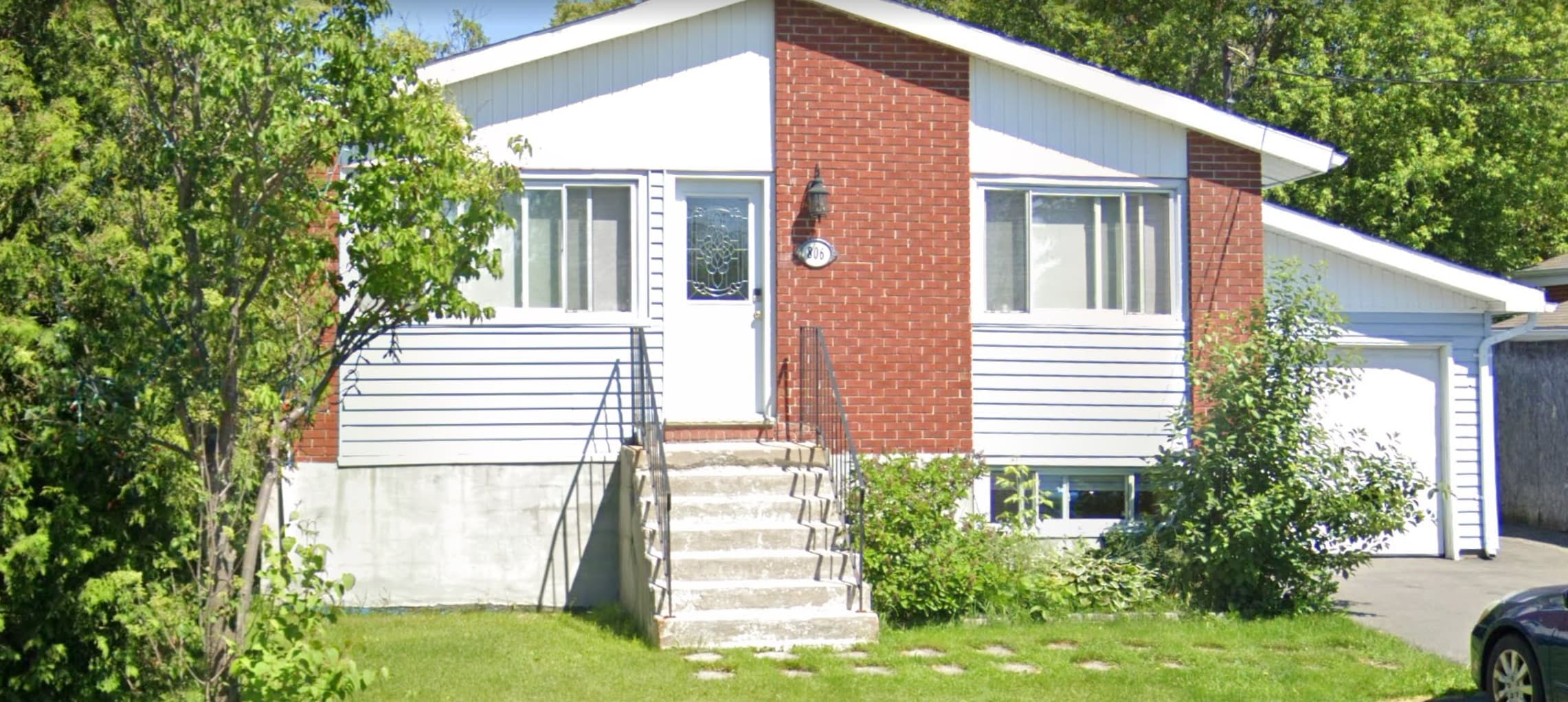 C&C Canine Social Club