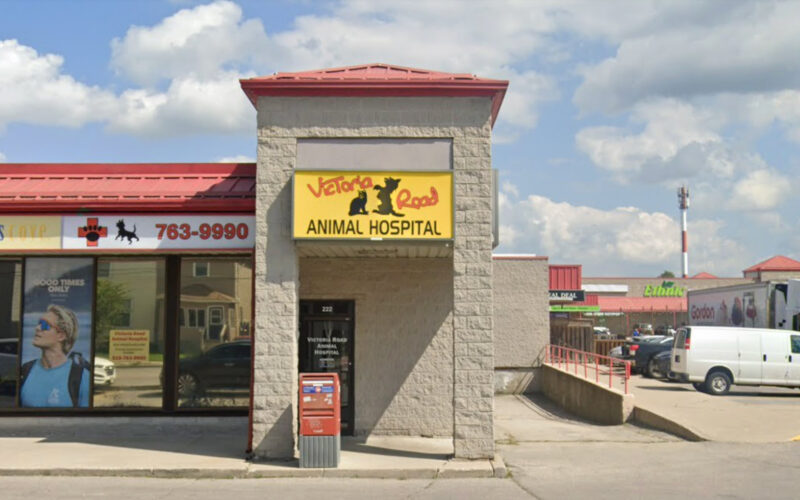 Victoria Road Animal Hospital