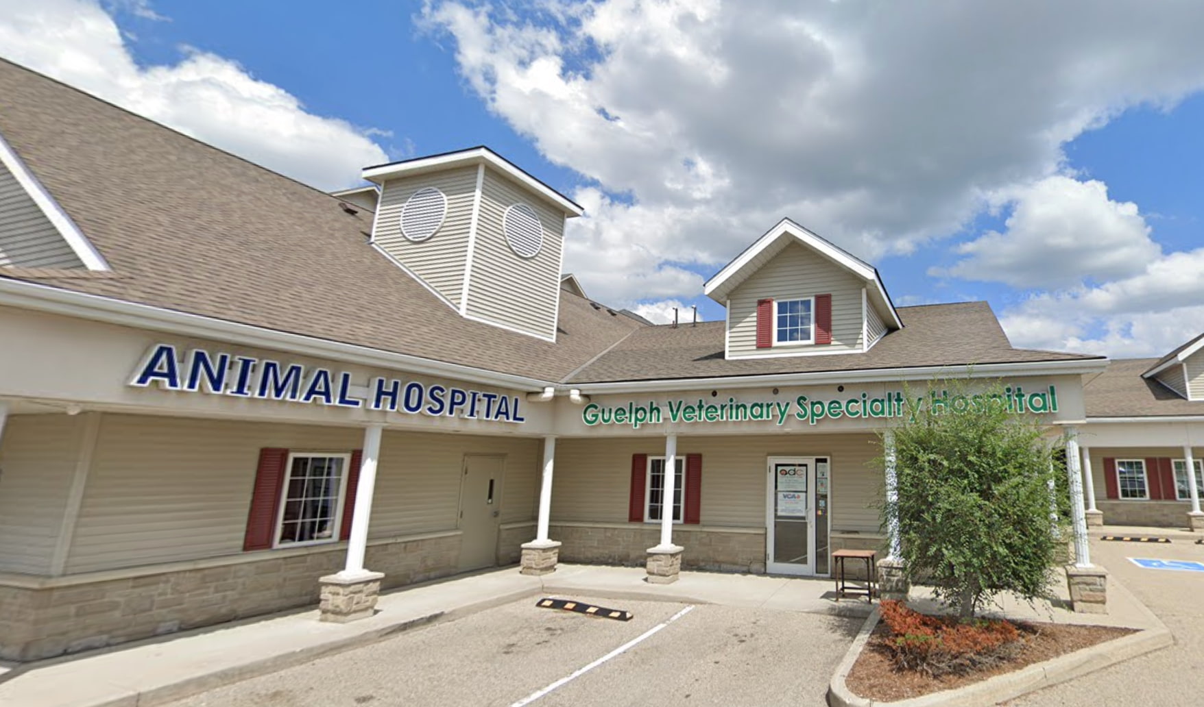VCA Canada Guelph Veterinary Surgery Services
