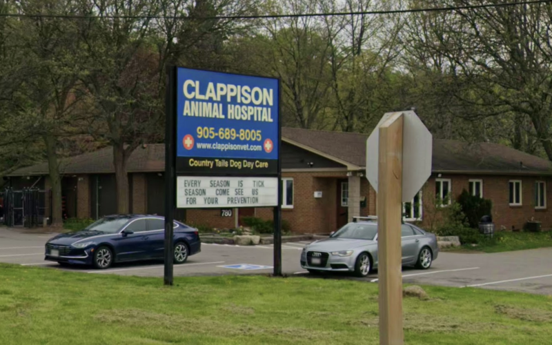Clappison Animal Hospital