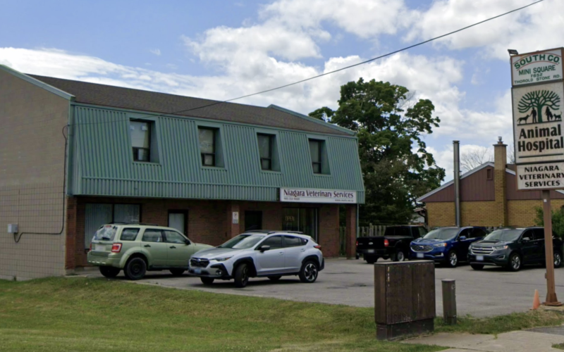 Niagara Veterinary Services