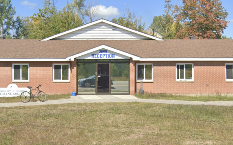 North Bay and District Humane Society