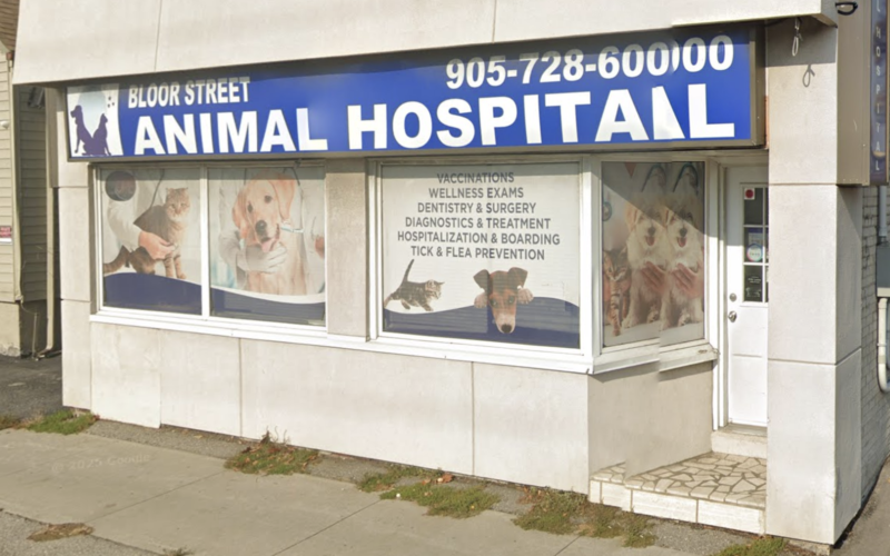 Bloor Street Animal Hospital