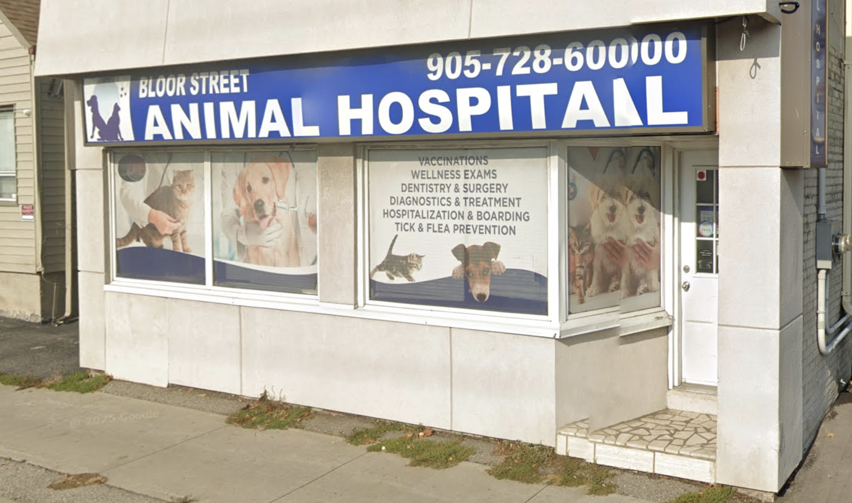 Bloor Street Animal Hospital