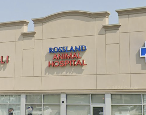 Rossland Animal Hospital
