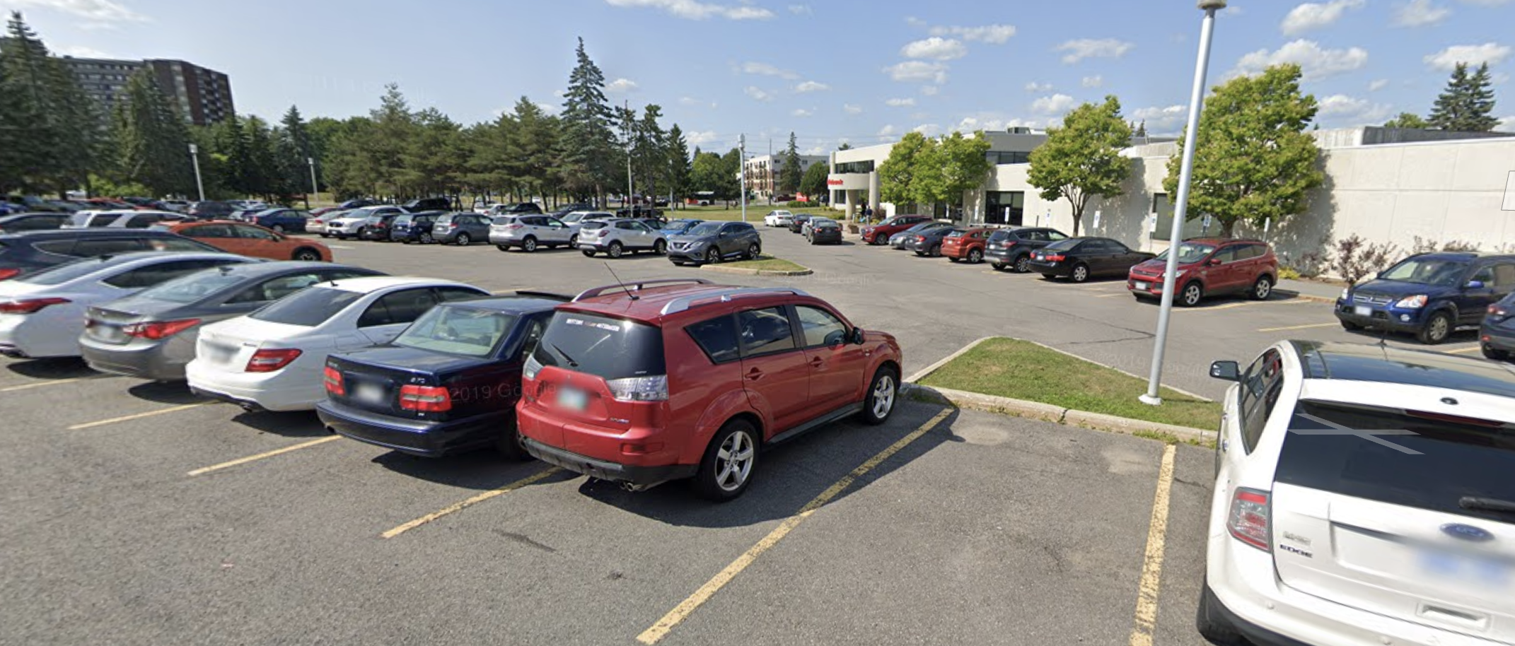 Department of Neurology: VCA Canada Alta Vista Specialty and Emergency Veterinary Centre