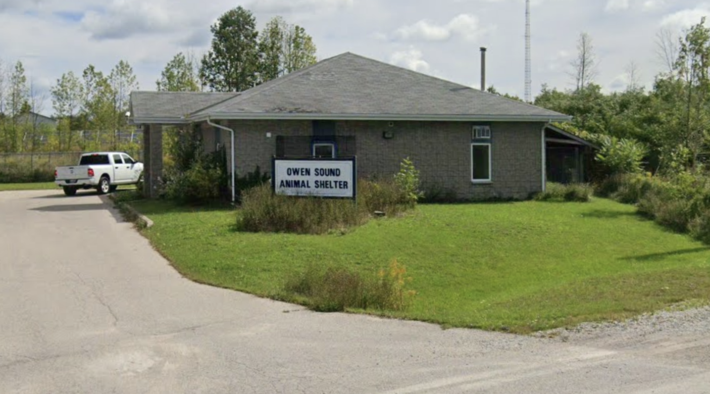 Owen Sound Animal Shelter