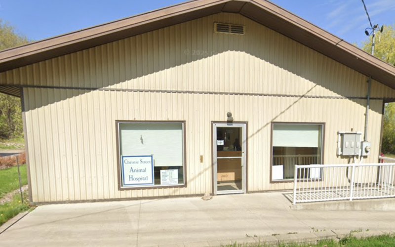 Christie St Animal Hospital