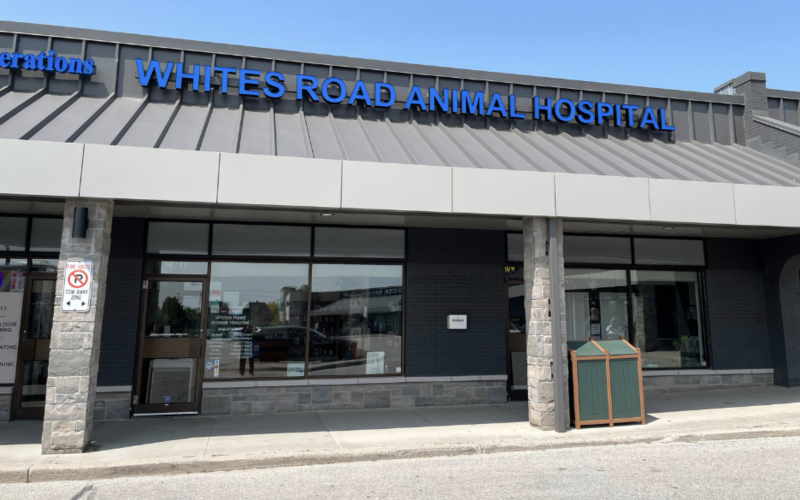 Whites Road Animal Hospital