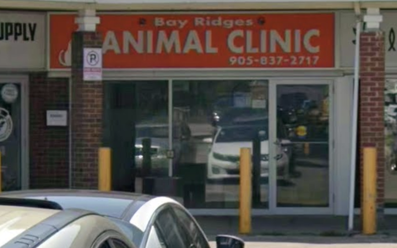 Bay Ridges Animal Clinic