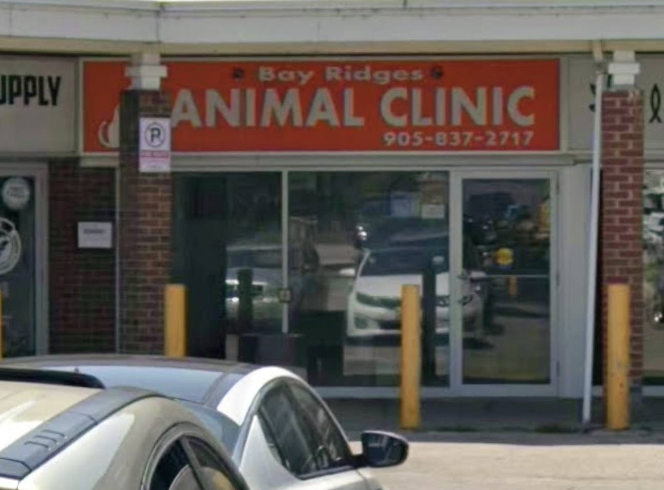 Bay Ridges Animal Clinic