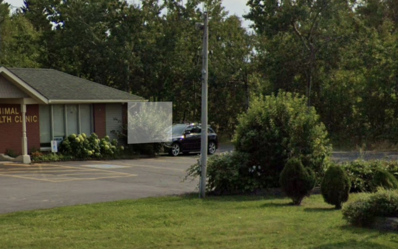 Animal Health Clinic
