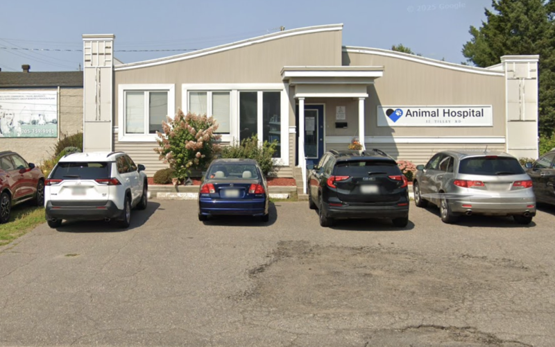 Animal Hospital